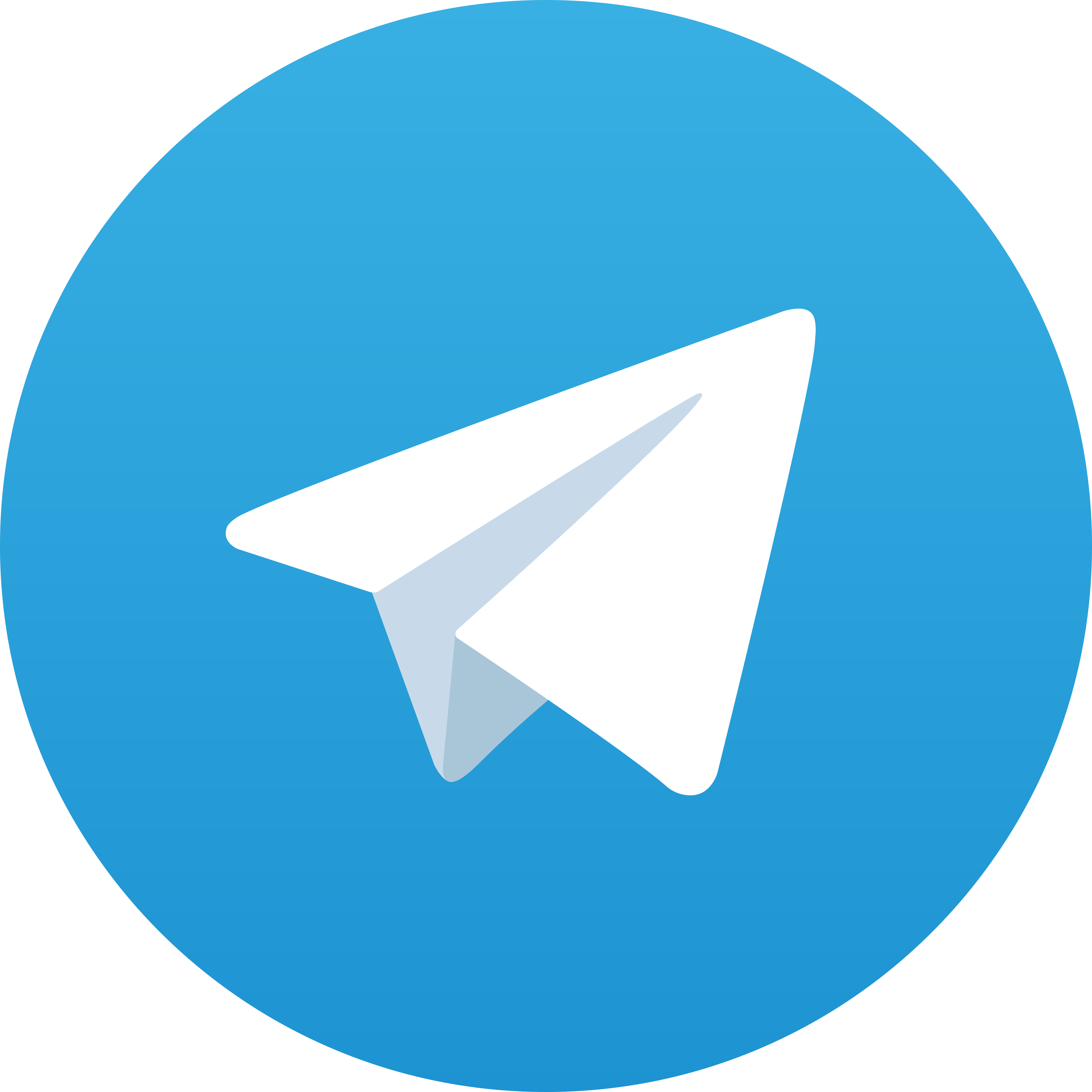Telegram TESLAHOKI